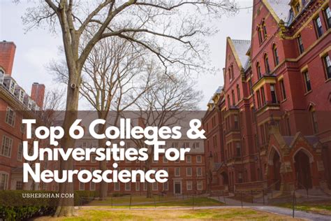 asia best neurologist|Asia's 100+ best Neuroscience universities [2024 Rankings].